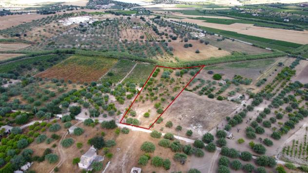 Terreno Agricolo - Noto . Rif.: Cod. rif 3321426VRG - Foto 2