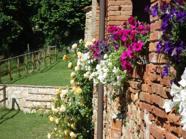 Villa in vendita a Casanova - Terricciola 200 mq Rif: 1440901 - Foto 10
