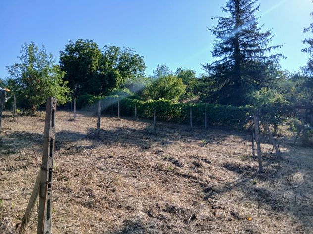 Terreno Agricolo 3000mq Arci (Tivoli) - Foto 4