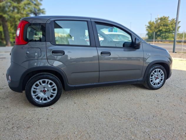 Fiat Panda 1.0 Hybrid - Foto 7