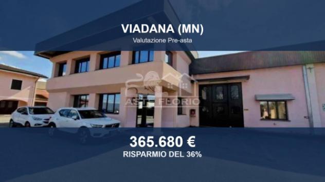 Immobile in asta di 1786 m² in vendita a Viadana