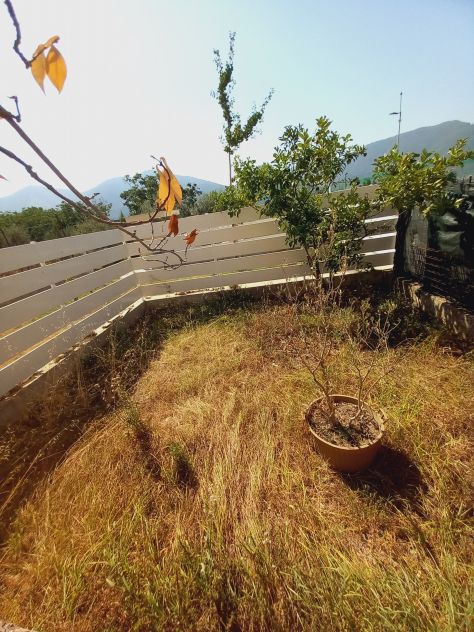 Santa Maria A Vico Semi-ndipendente con ampio cortile e piccolo giardino - Foto 4