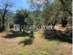 Terreno in vendita a Galatro - Rif. 4547205