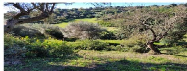 Immobile in asta di 51620 m² in vendita a Ragusa - Foto 6