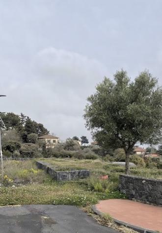 Agricolo in vendita a Viagrande
