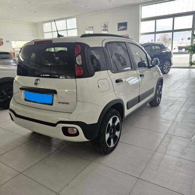 FIAT Panda Cross 1.0 FireFly S&S Hybrid rif. 21959747 - Foto 4
