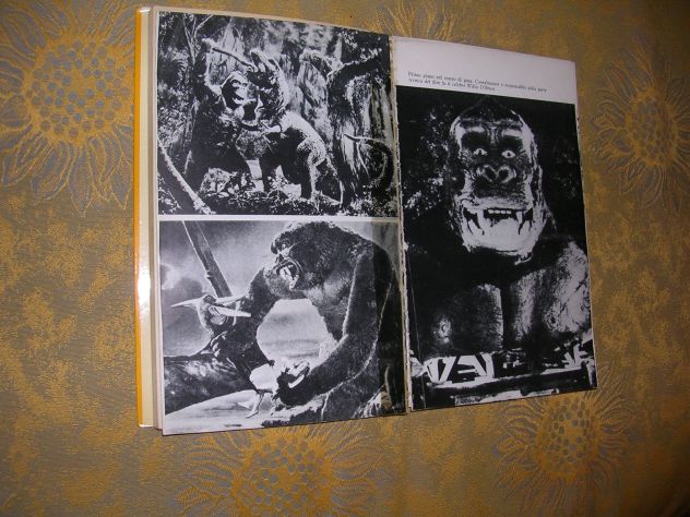 KING KONG - Foto 5