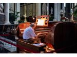 Organista professionista a Ferrara