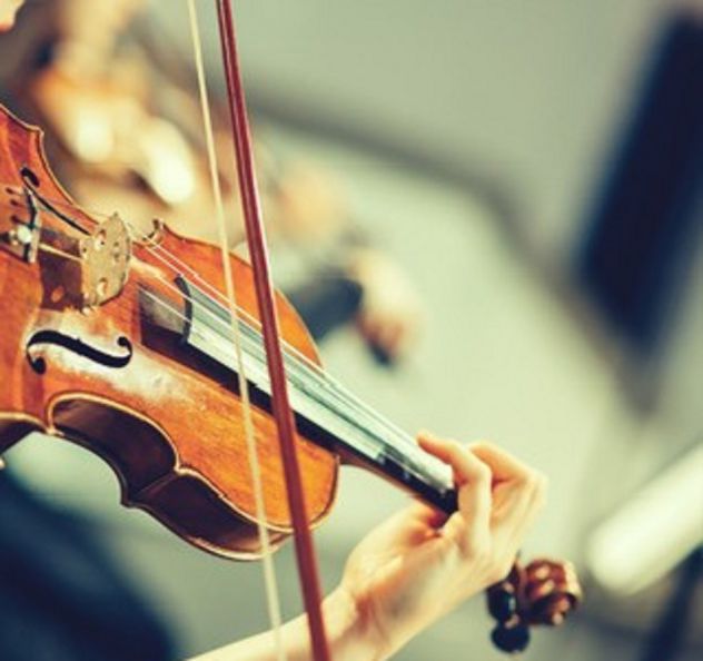 Violinista Orbetello, Grosseto e Siena