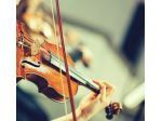 Violinista Orbetello, Grosseto e Siena