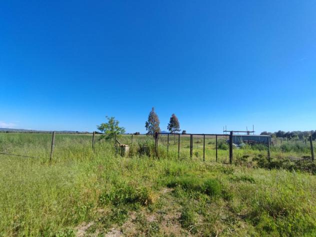 Terreno agricolo in vendita a Pollino - Grosseto 7000 mq Rif: 1334817