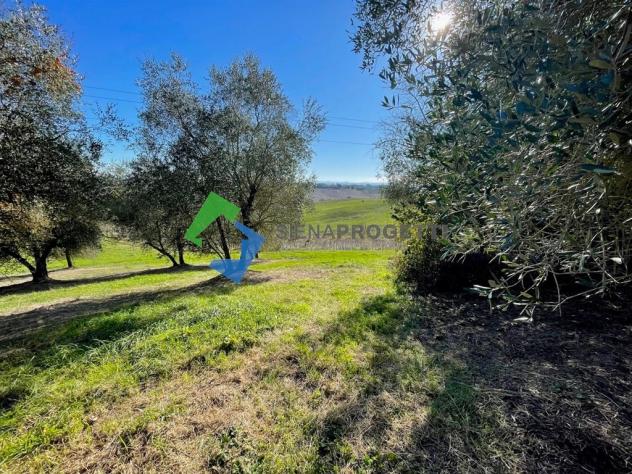 Casale in pietra da ristrutturare alle porte di Siena - Foto 9
