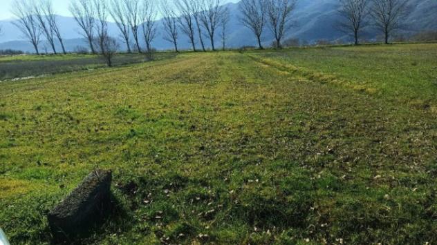 Immobile in asta di 204 m² con più di 5 locali in vendita a Atena Lucana - Foto 8