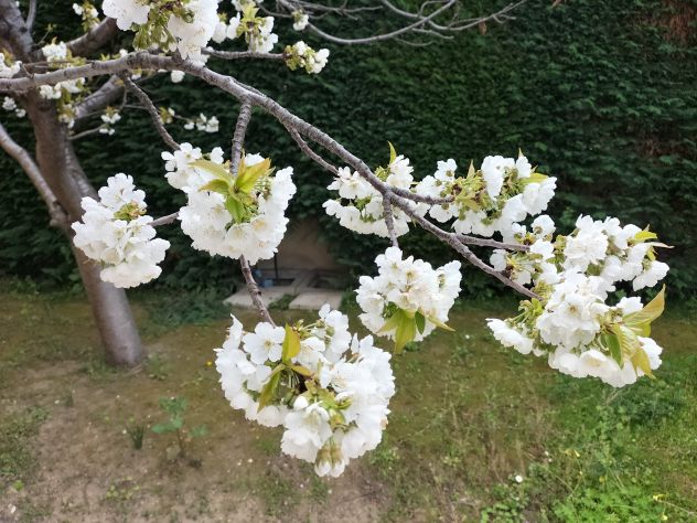 Villa bifamiliare - Foto 5