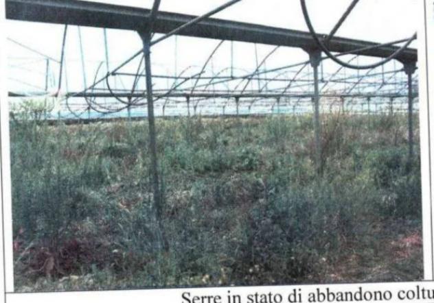 Immobile in asta di 106556 m² in vendita a Bernalda - Foto 3