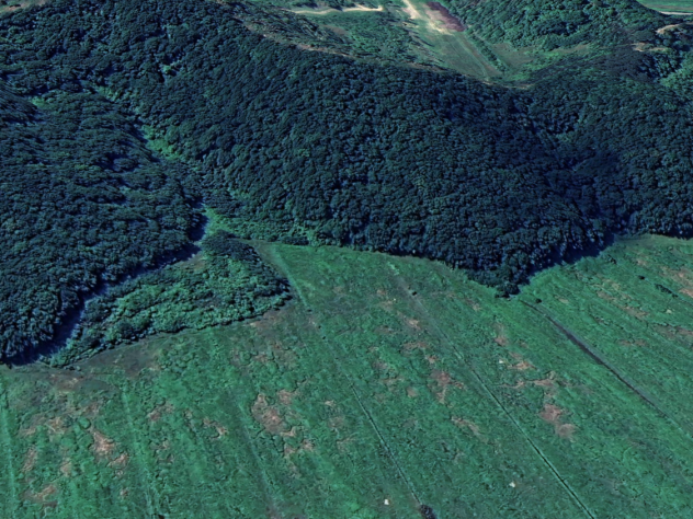 Terreno agricolo in vendita a Serra - San Miniato 560000 mq  Rif: 1337286