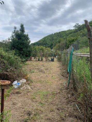 Frutteto in vendita a Vado Ligure - Foto 8
