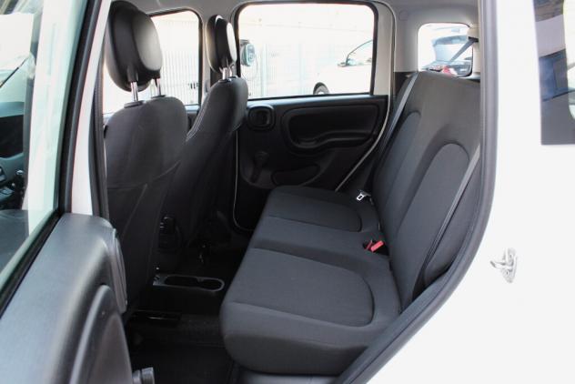 FIAT Panda 3ª serie Panda 1.0 FireFly S&S Hybrid Pandina - Foto 8