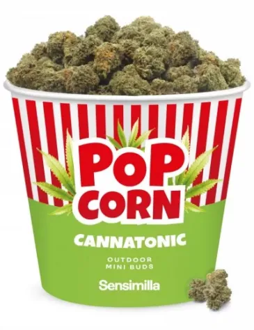 Cannatonic Popcorn