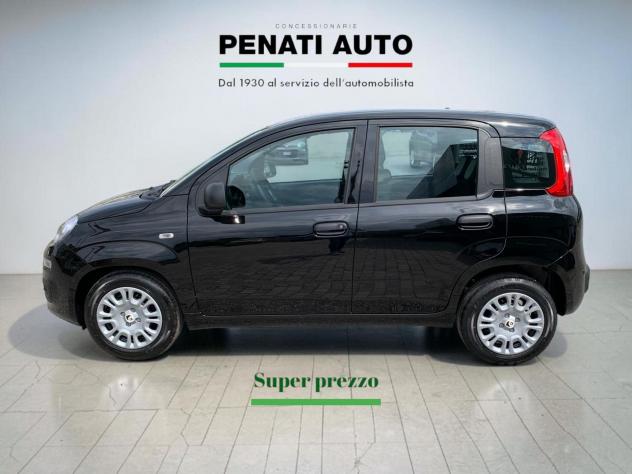 FIAT Pandina 1.0 FireFly 65cv S&S 6m Hybrid Icon - Foto 3