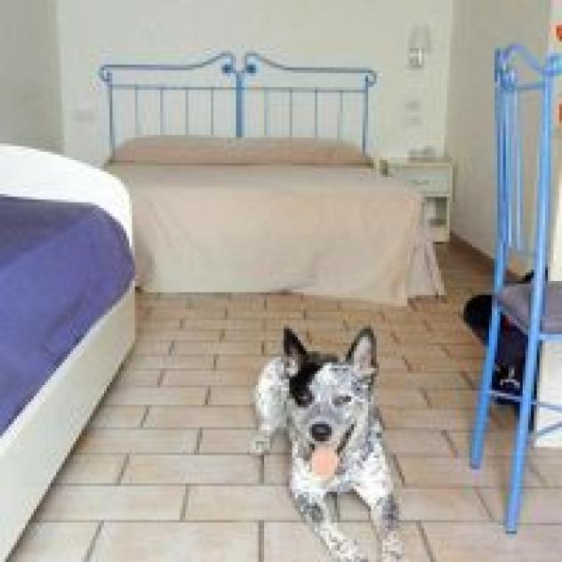 Agriturismo Marche Life - Foto 2
