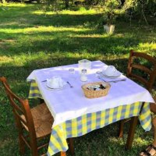 B&amp;B Albachiara
