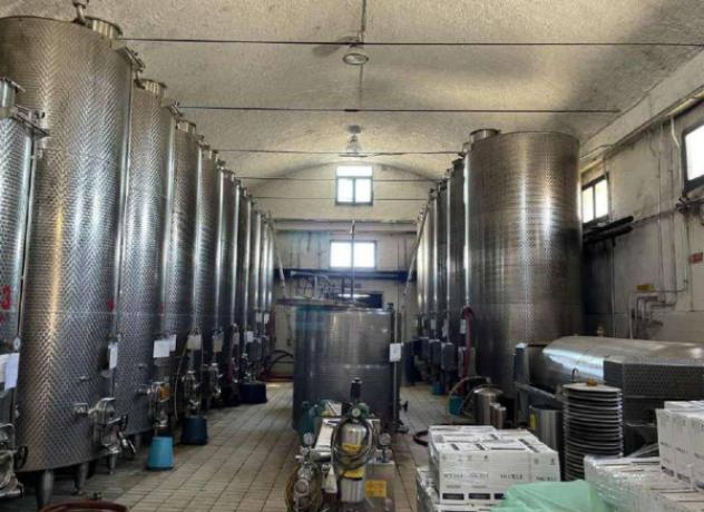 Immobile in asta di 3 m² con più di 5 locali in vendita a Pantelleria - Foto 9