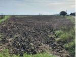 VENDITA TERRENI AGRICOLI - LOCALITA' BORGO CERVARO