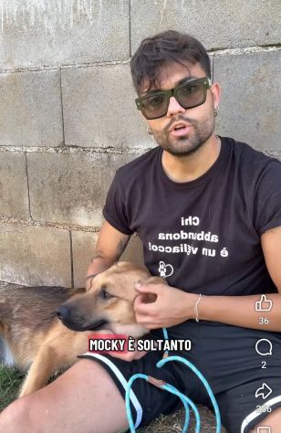 MOCKY CERCA UN AMICO AMOREVOLE CUCCIOLO IN ADOZIONE - Foto 2