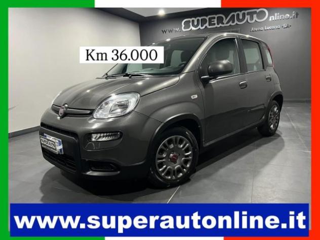 FIAT Panda 1.0 FireFly S&S Hybrid rif. 23614019