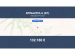 Immobile in asta di 402 m² con più di 5 locali in vendita a Spinazzola