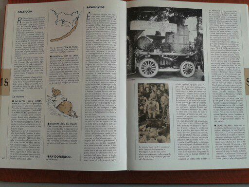 DIZIONARIO DELLA CUCINA ROMAGNOLA - Foto 3