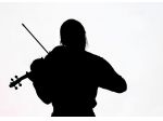 Violinista Treviglio