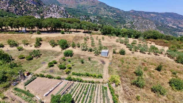 Agricolo in Contrada Vignale - Foto 9