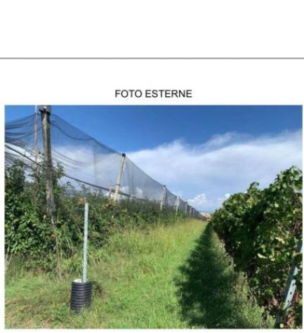 Immobile in asta di 225 m² con più di 5 locali in vendita a Caldiero - Foto 19