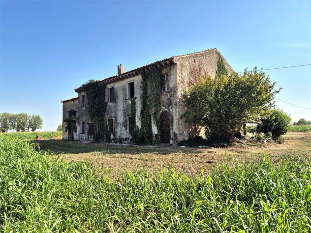 V005517 - NOGAROLE ROCCA – RUSTICO CON 3.100 MQ DI TERRENO PRIVATO - Foto 6