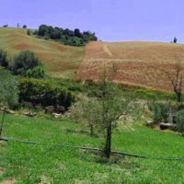 Azienda Agricola Rosina di Bonifati Rosa - Foto 3