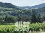 Terreni agricoli