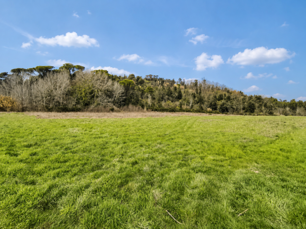 Terreno agricolo in vendita a Palaia 21620 mq Rif: 961920 - Foto 5