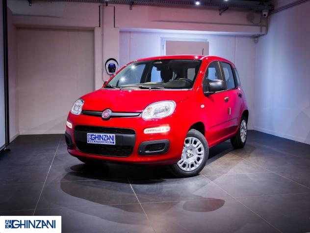 FIAT Panda Panda 1.0 FireFly S&S Hybrid Icon - "PREZZO VERO" - Foto 2