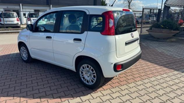 FIAT Pandina 1.0 FireFly Hybrid 65cv POP KMO rif. 23669471 - Foto 5