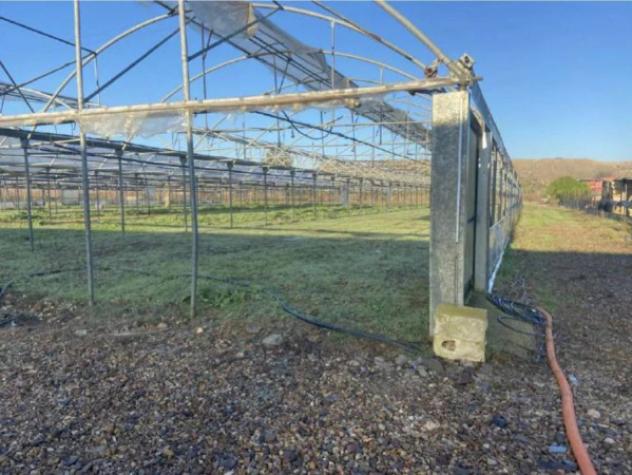 Immobile in asta di 10494 m² in vendita a Elmas - Foto 6