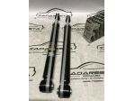 Ammortizzatori Posteriori Chevrolet Aveo - Kalos 96408735