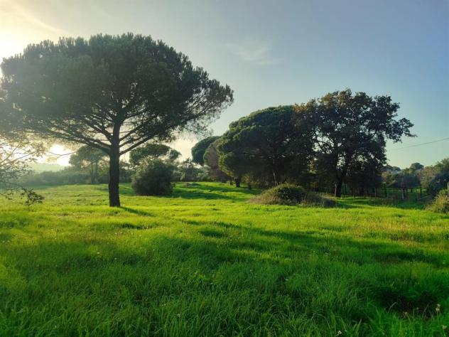 Terreno Agricolo - Rif. 2445