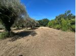 Terreno edif. residenziale in vendita a Luni 770 mq  Rif: 1427937