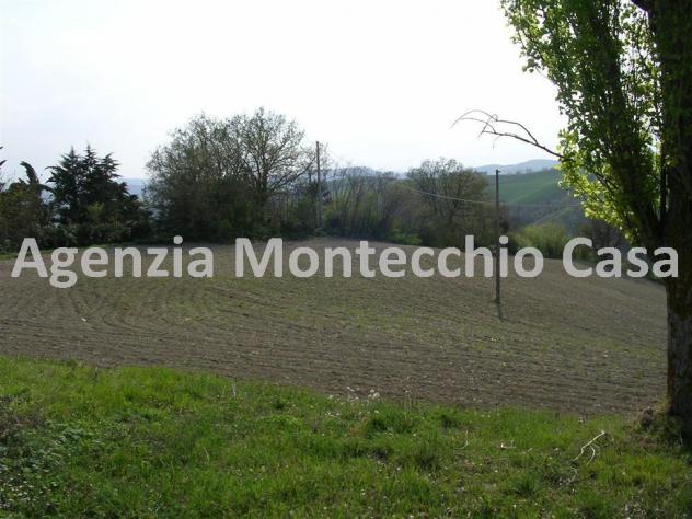 Terreno agricolo, bosco e capanno - Foto 11
