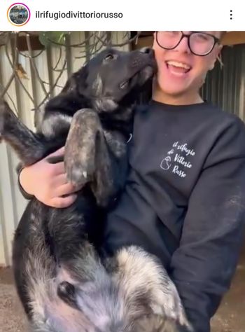 TRONKY UN GIOIOSO COCCOLONE: CANE IN ADOZIONE 1 ANNO - Foto 9