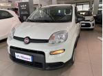 FIAT Panda 1.0 FireFly S&S Hybrid rif. 24093956