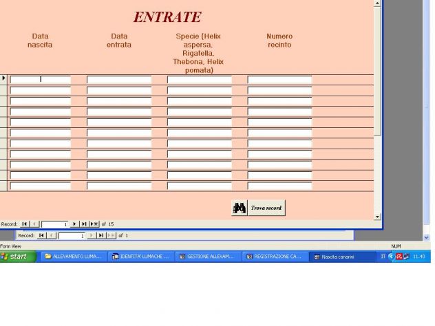 SOFTWARE GESTIONALE ALLEVAMENTO LUMACHE SU PEN DRIVE O PER EMAIL - Foto 3