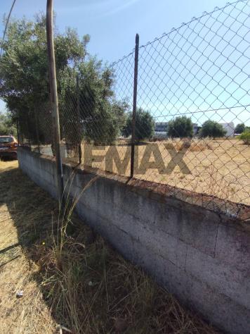 Terreno Edificabile in vendita a Motta Sant'Anastasia - Foto 8